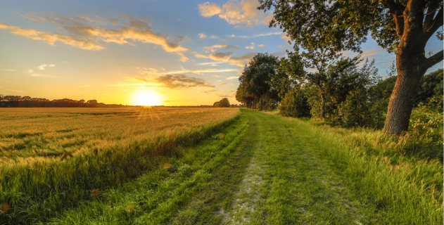 scenic view of sunset behind a farm field